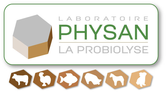 PHYSAN